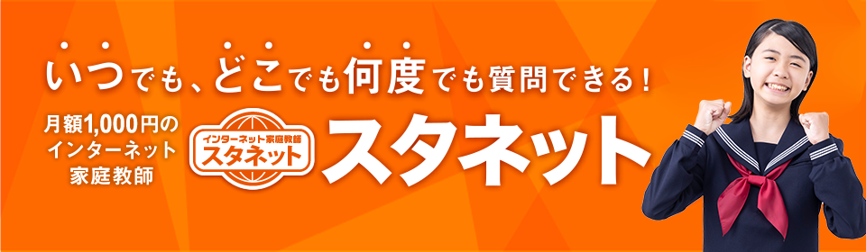 インターネット家庭教師「スタネット」